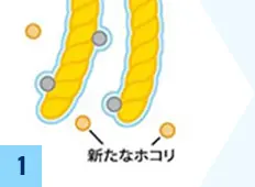 モップ図